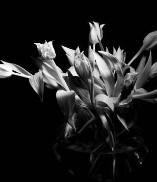 Black And White Plants