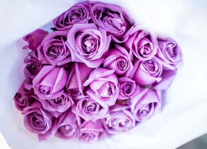 Purple Roses