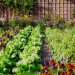 Vertical Vegetable Garden