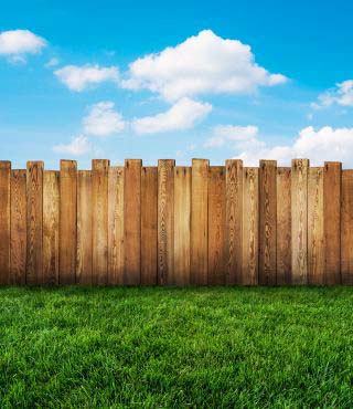 Fence for Vegetable Garden