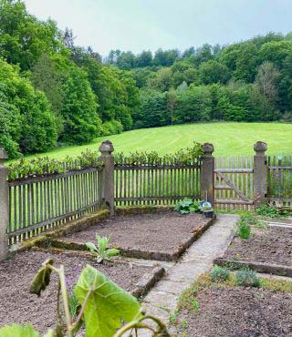 Fence for Vegetable Garden