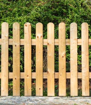 Fence for Vegetable Garden