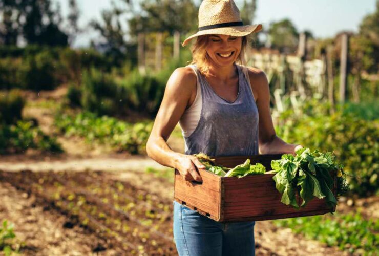 Front Yard Vegetable Garden