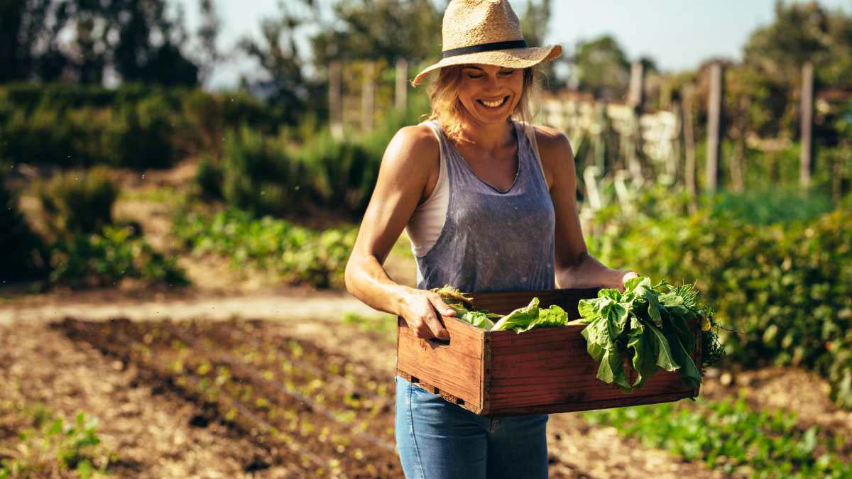 Front Yard Vegetable Garden