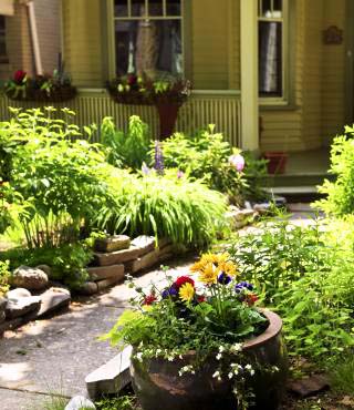 Front Yard Vegetable Garden