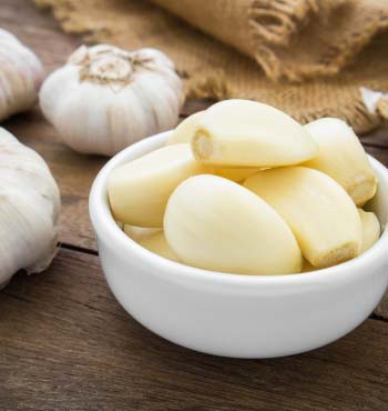 garlic growing stages