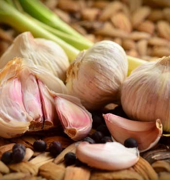 garlic growing stages