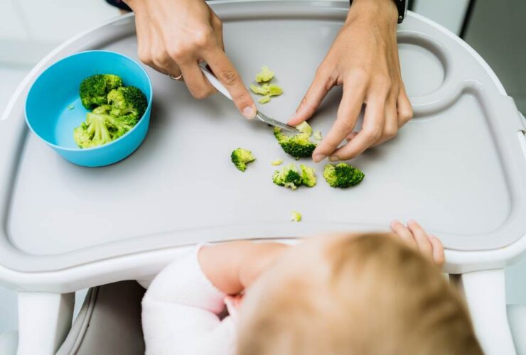 Growing Stages of Broccoli