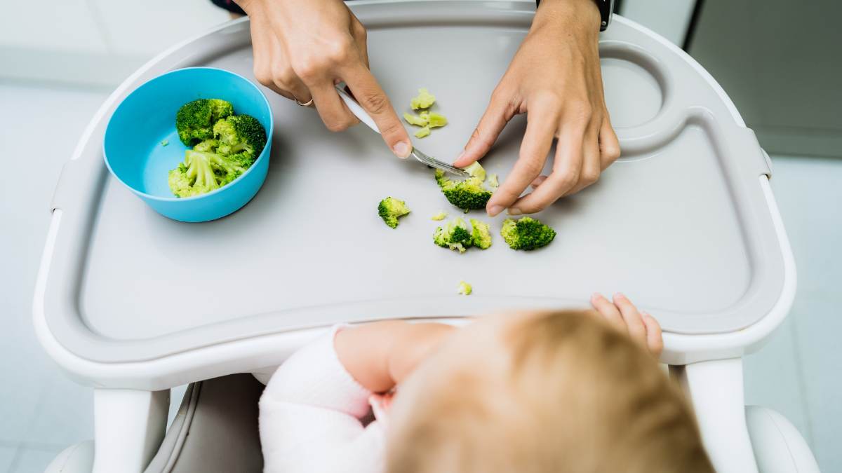 Growing Stages of Broccoli