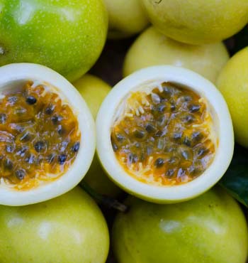 passion fruit growing stages