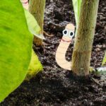 Types Worm Species in Potted Plants