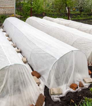 Vegetable Garden Covers